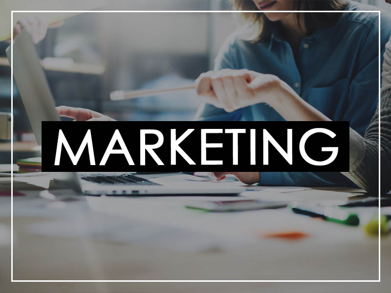 Chris Maloney Digital Design Marketing Web Design SEO Chesterfield HP Services JPG 010