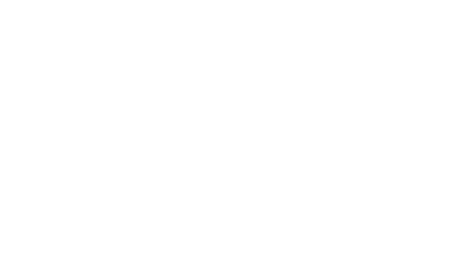 Caleo Ltd Chris Maloney Digital Design Portfolio